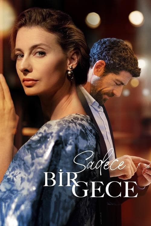 Poster for Sadece Bir Gece