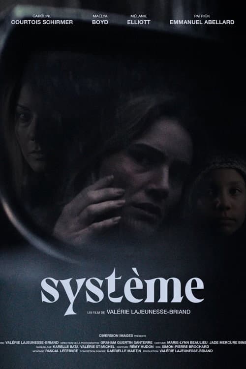 Poster for Système