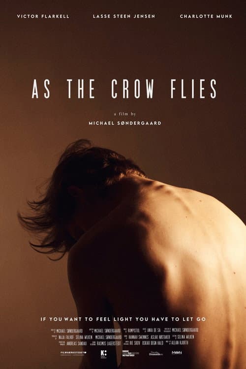 Poster for As the Crow Flies