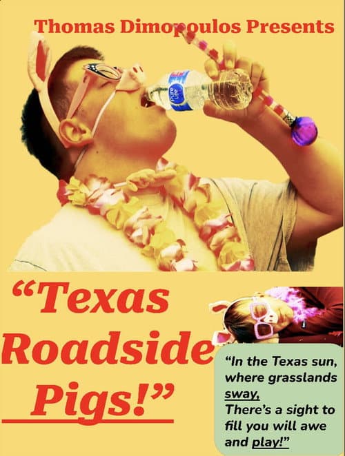 Poster for Texas Roadside Pigs!