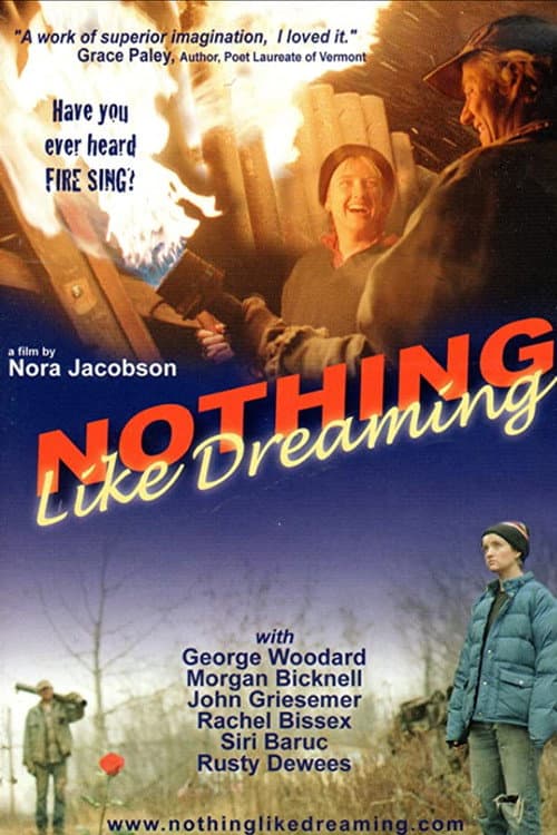 Poster for Nothing Like Dreaming