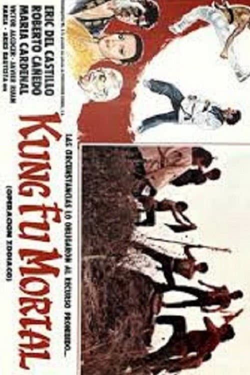 Poster for Kung fu mortal: Operación zodiaco
