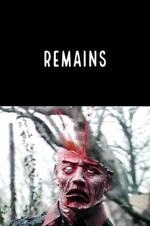 Poster for Remains