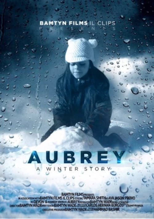 Poster for A Winter Story