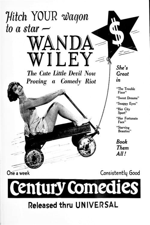 Poster for The Trouble Fixer