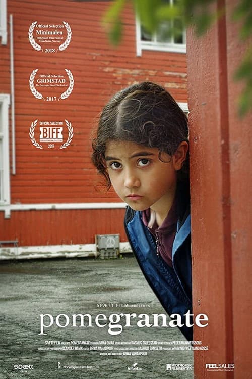 Poster for Pomegranate