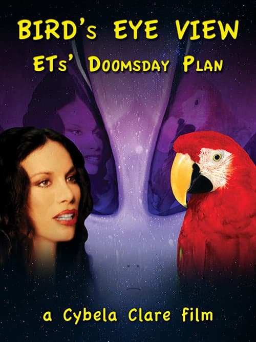 Poster for Bird's Eye View