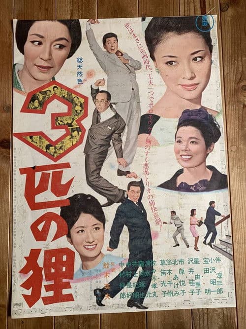 Poster for 3 Raccoon Dogs