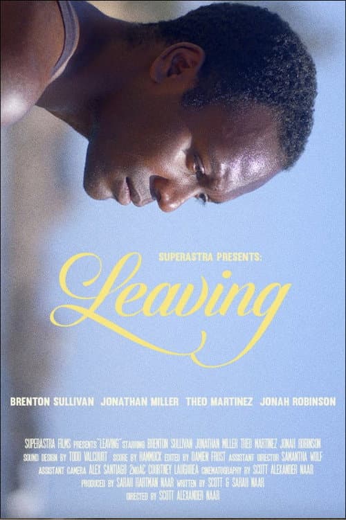 Poster for Leaving