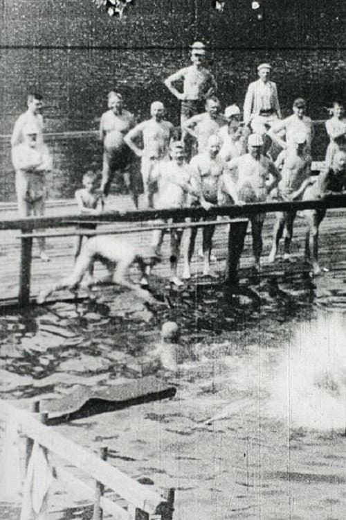 Poster for Žofín Swimming Bath