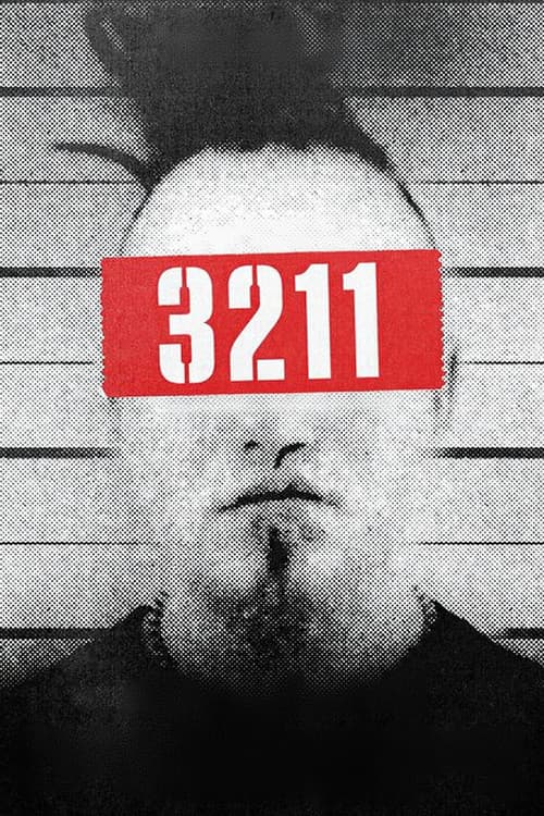 Poster for 3211