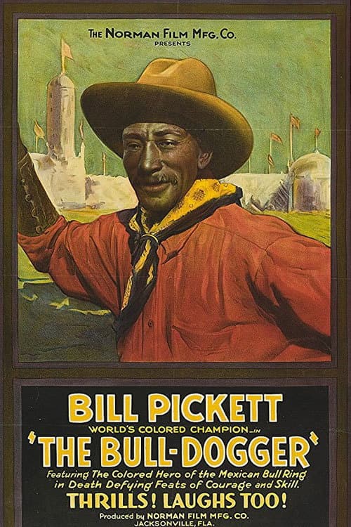 Poster for The Bull-Dogger