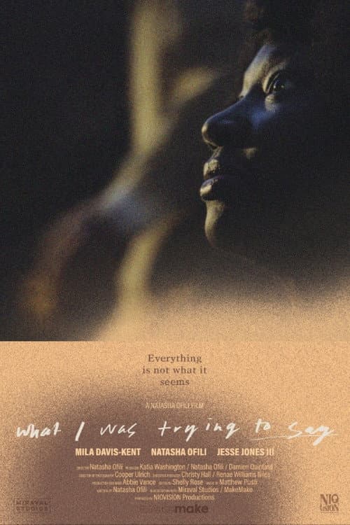 Poster for What I Was Trying to Say
