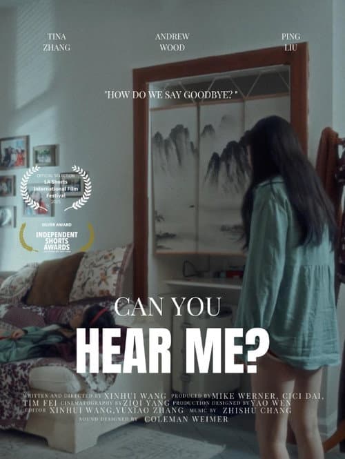 Poster for Can you hear me?
