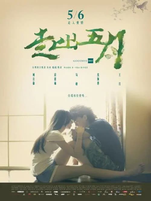 Poster for Goodbye May