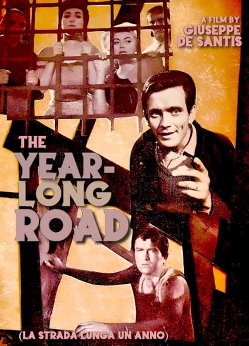 Poster for The Year Long Road