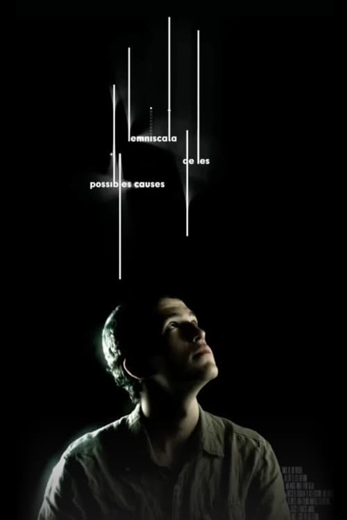 Poster for Lemniscata de les possibles causes