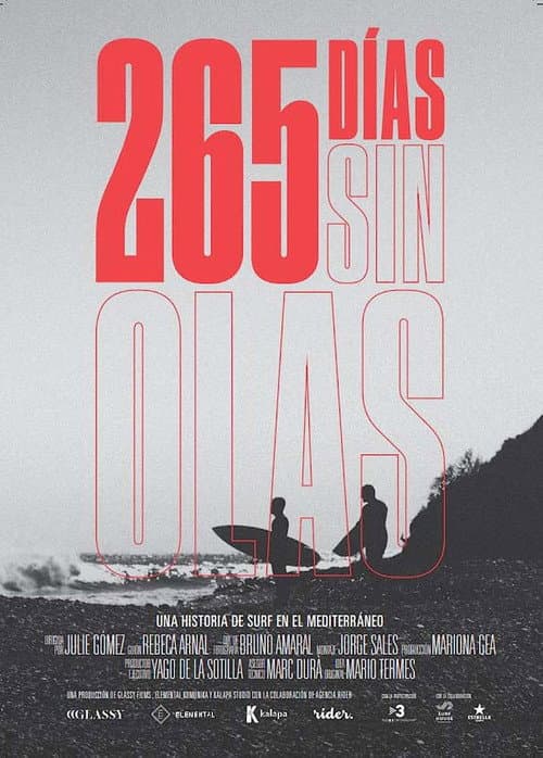 Poster for 265 Days Without Waves