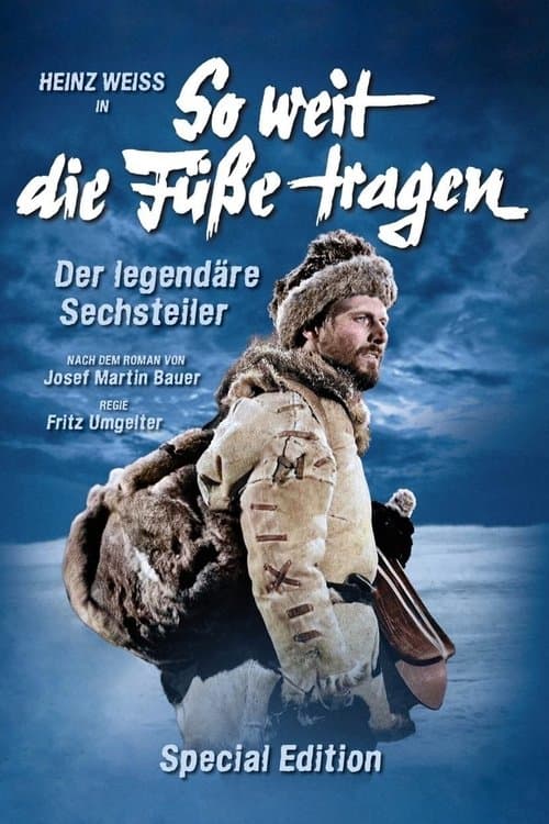 Poster for So weit die Füße tragen