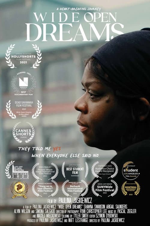 Poster for Wide Open Dreams