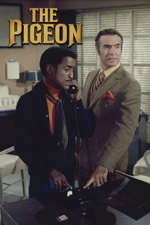 Poster for The Pigeon