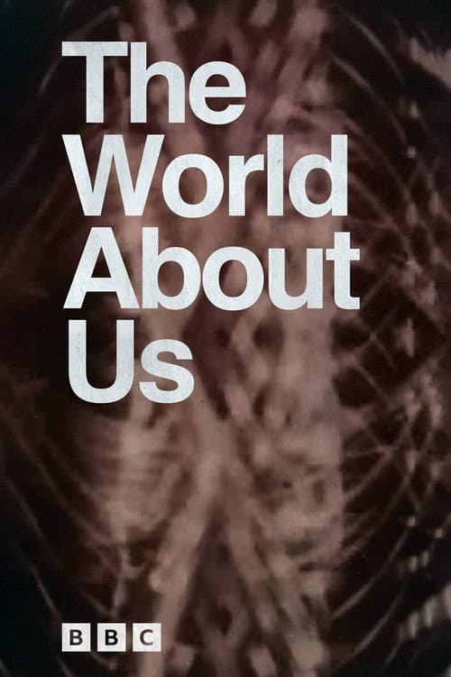 Poster for World About Us
