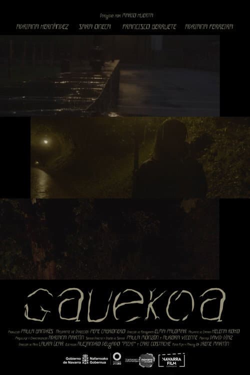 Poster for Gauekoa