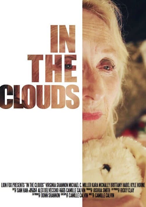 Poster for In the Clouds