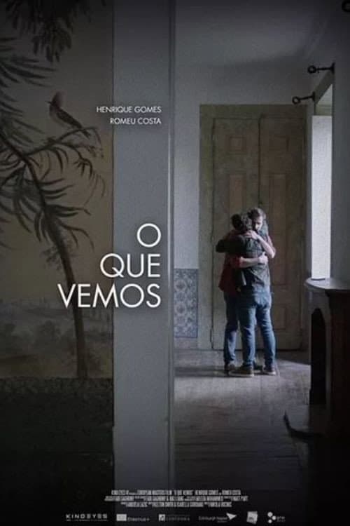 Poster for What We See