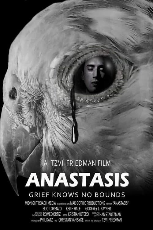 Poster for Anastasis