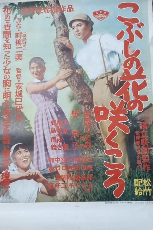 Постер до фільму «Kobushi no hana no sakukoro»