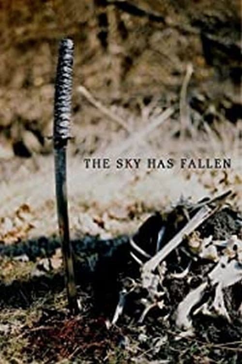 Poster for The Sky Has Fallen
