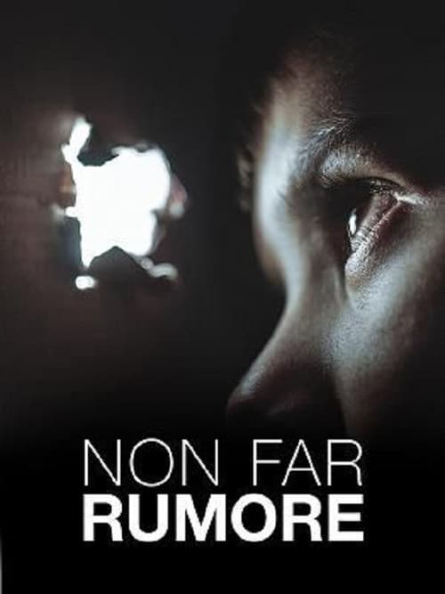 Постер до фільму «Non far rumore»