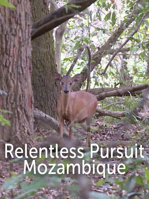 Poster for Mozambique