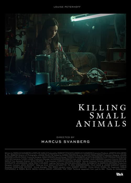 Poster for Killing Small Animals