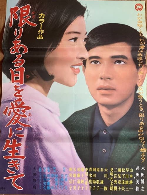 Poster for The Suitors