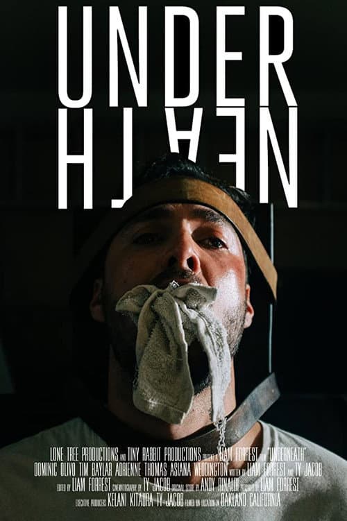 Poster for Underneath