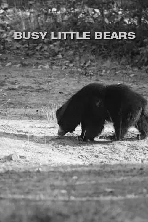 Poster for Busy Little Bears