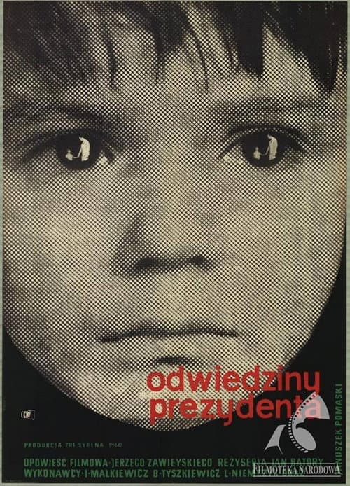 Poster for Visit of a President