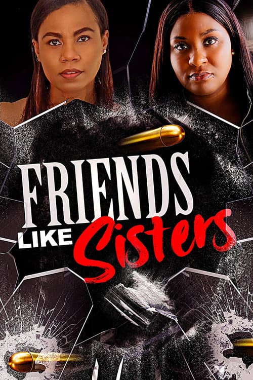 Poster for Friends Like Sisters