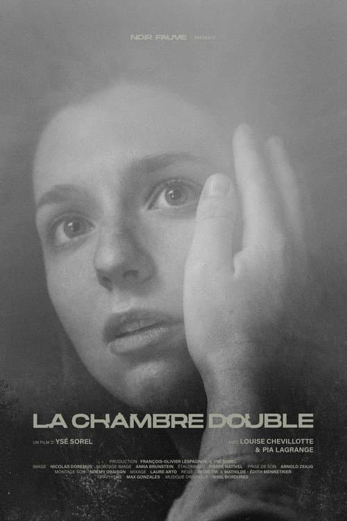 Poster for Double Room