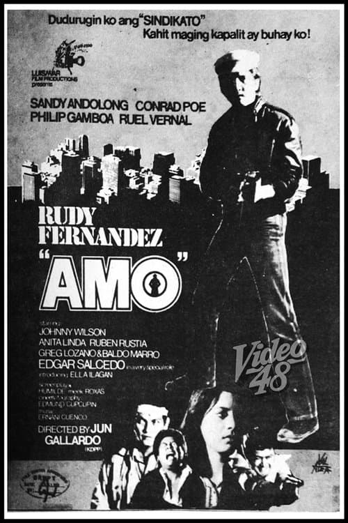 Poster for Amo