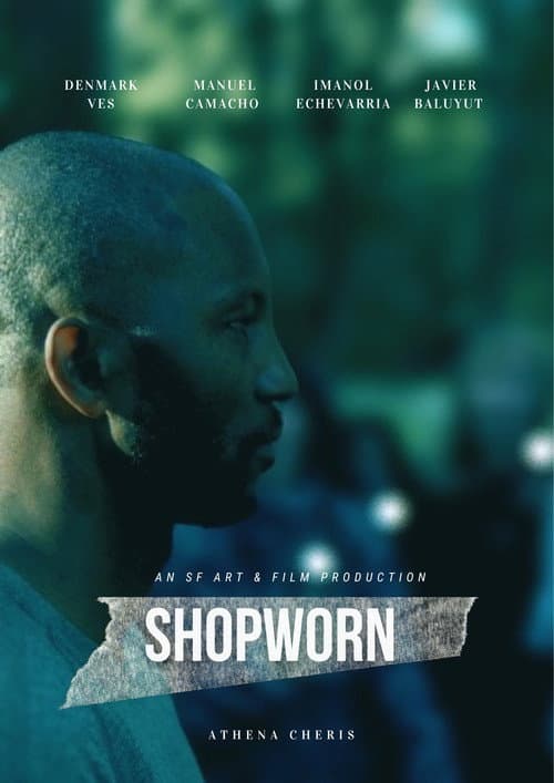 Poster for Shopworn