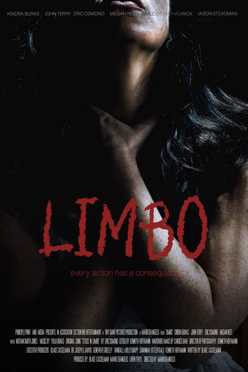 Poster for Limbo