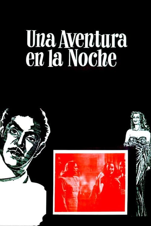 Poster for An Adventure in the Night