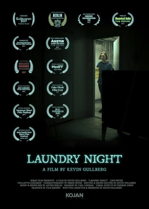 Poster for Laundry Night