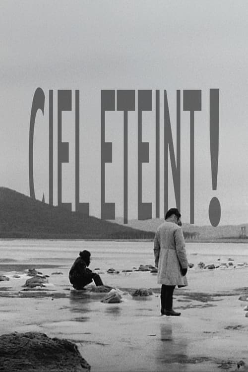 Poster for Ciel éteint !