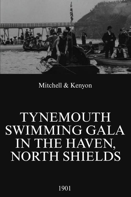 Poster for Tynemouth Swimming Gala in the Haven, North Shields