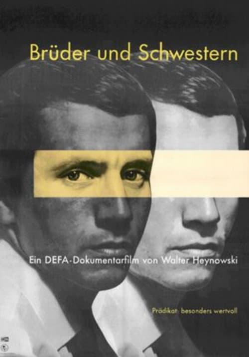 Poster for Brothers and Sisters