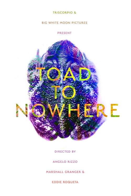 Poster for Toad to Nowhere
